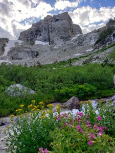 Wild Flowers and a mountain.