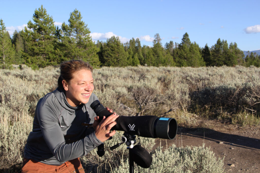 Guides of Jackson Hole's Rachel Hoar sets up her scope for viewing wildlife.