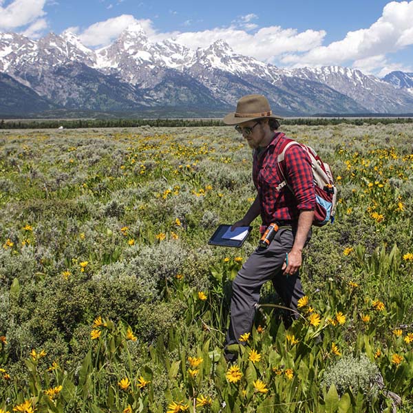 Ecologist Trevor Bloom walks through a field of wildflowers beneath the Teton mountain range.