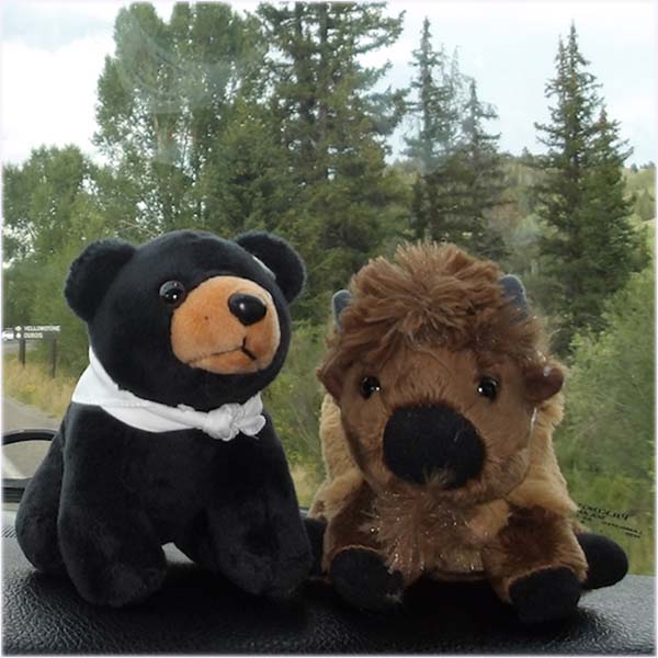 GrandTetonFamilyToursofttoysondash Guides of Jackson Hole A family watching wildlife on a Guided tour in Grand Teton