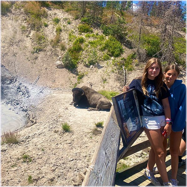 YellowstoneFamilyTourBisonMudpool Guides of Jackson Hole Two teenage girls look at a bison by a mud pool in Yellowstone.