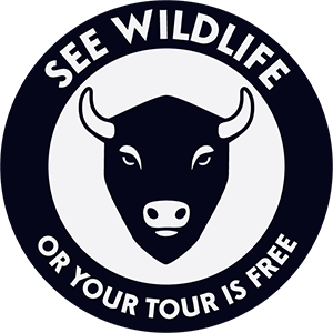 Guides of Jackson Hole See Wildlife or Your Tour is Free logo